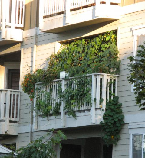 4874_balcony.jpg