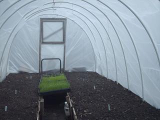 4989_greenhouses_002.jpg