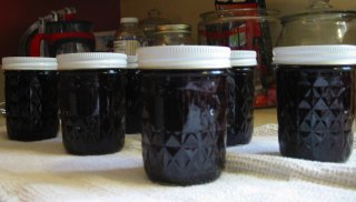 5648_blueberryjam7-08.jpg