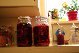 5648_pickledbeets.jpg