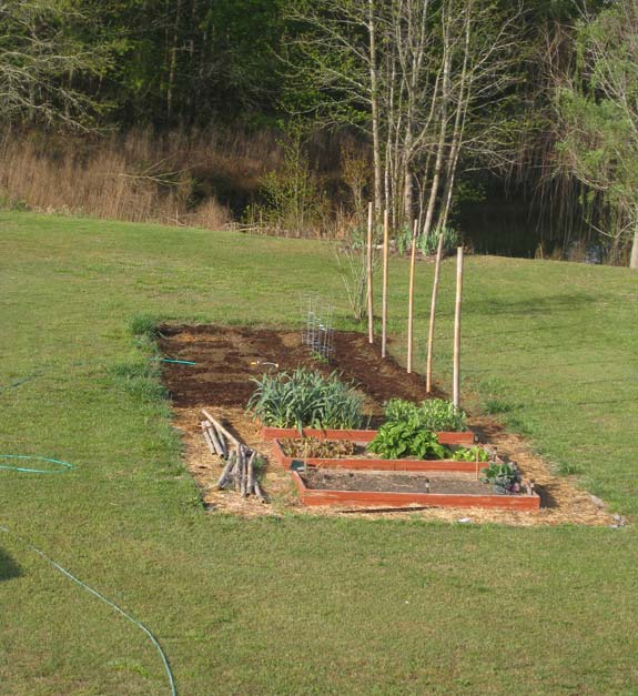 5842_garden_spring2013.jpg