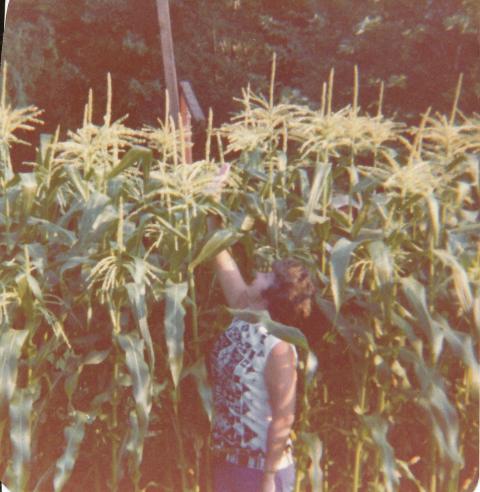 5842_grammy_with_tall_corn_july_1976.jpg