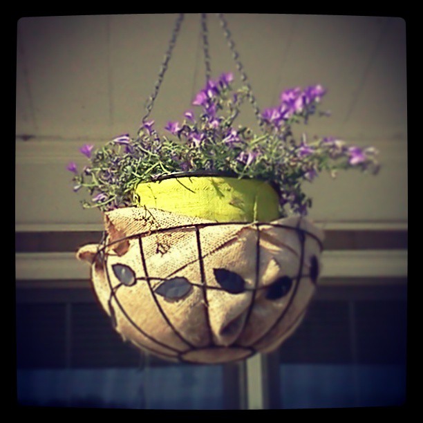 5842_hanging_basket1.jpg