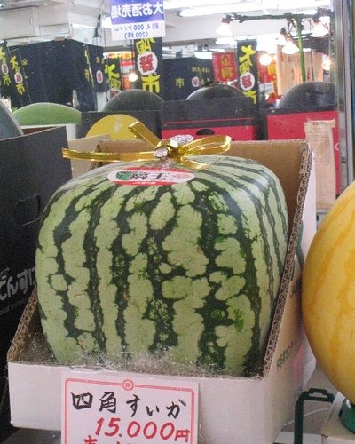 5875_square_watermelon.jpg