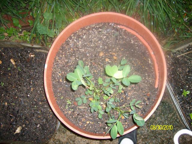 6101_empty_8-30_099.jpg