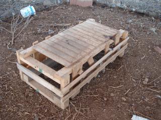 6180_chick_feeder.jpg