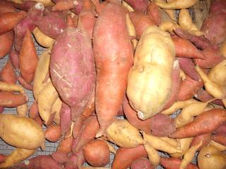 6180_sweet_potatojpeg.jpg