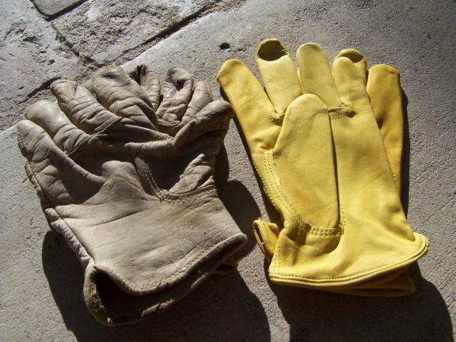 6271_old_and_new_gloves.jpg