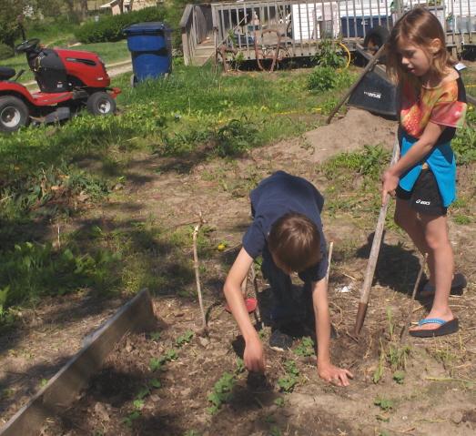 6364_hpim1958jpg_tending_garden.jpg