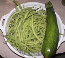 6364_hpim2013ajpg_green_beans_and_zuchinni.jpg