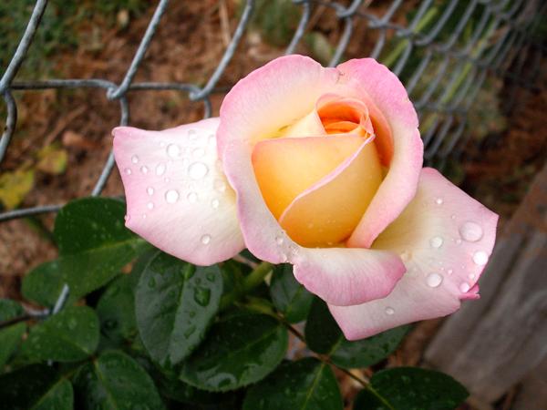 6486_dscf4756b_web.jpg