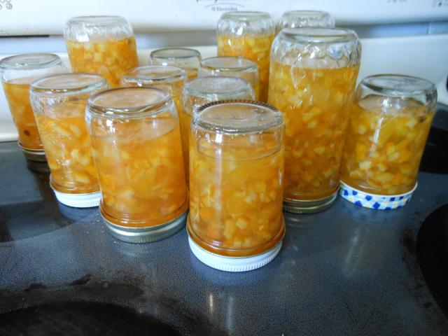 6488_orange_marmelade_01-24-12.jpg