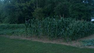 6832_2012-06-15_20-58-14_386.jpg