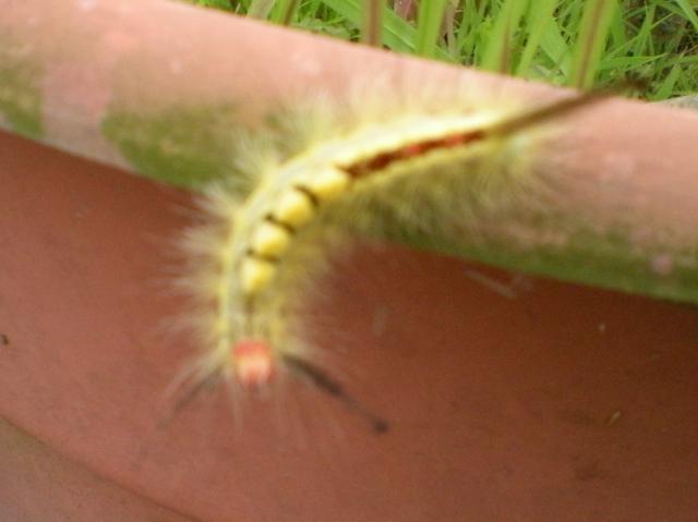 6834_004.jpg