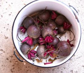 6858_beets.jpg