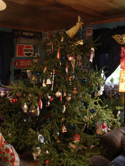 6981_christmas_tree_2013.jpg