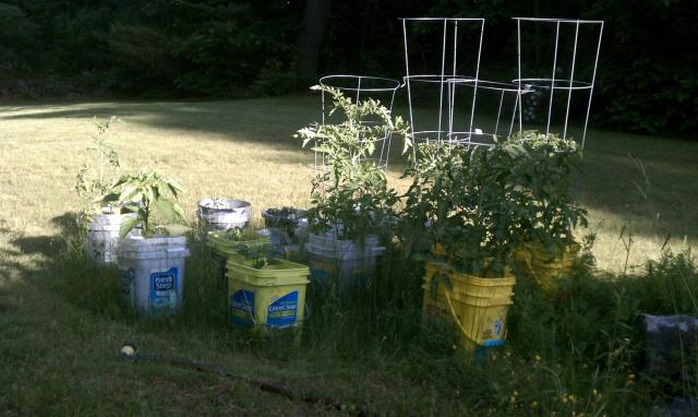 6992_ghetto_bucket_garden.jpg