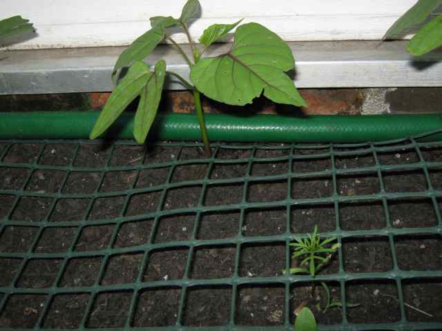 7073_img_0496.jpg