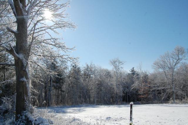 7100_field_snow.jpg