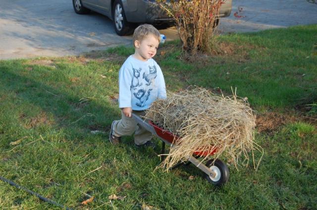 7100_gavin_with_wheelbarrow.jpg