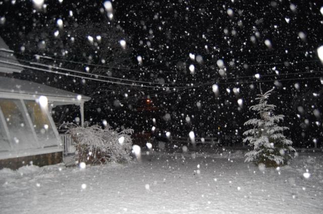 7100_night_snow_2.jpg