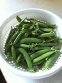 7254_pea_harvest.jpg