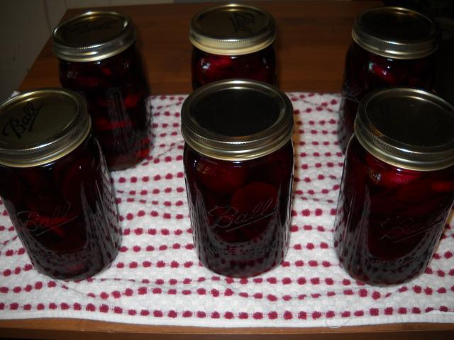 7846_pickled_beets_002.jpg