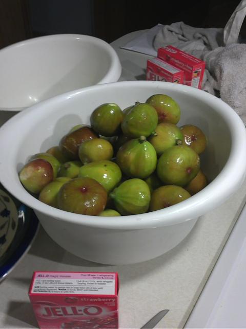 7949_bowl_of_figs.jpg