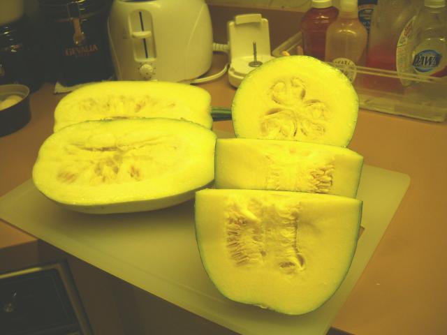 8093_squash_003.jpg