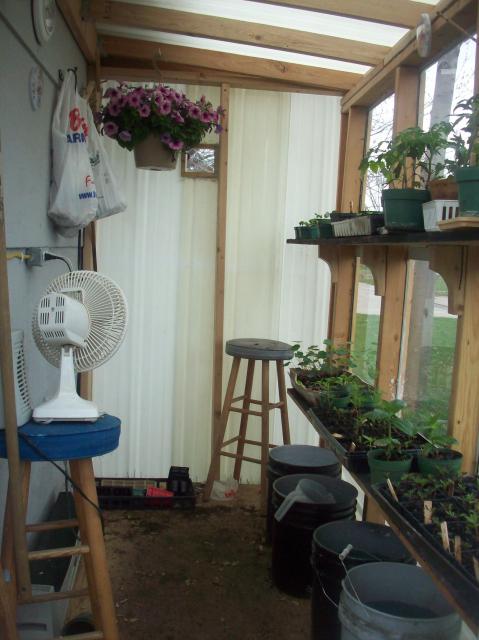 8098_dads_greenhouse_inside.jpg