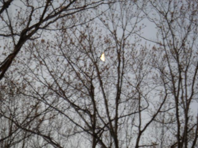 8199_half_moon_may_of_thirteen.jpg