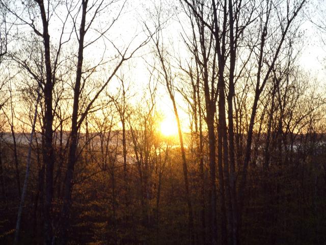8199_sunrise_may_of_thirteen.jpg