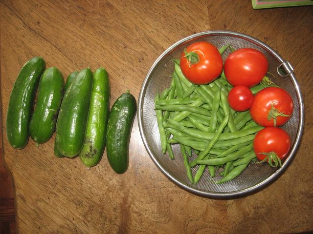 8229_cukes1.jpg