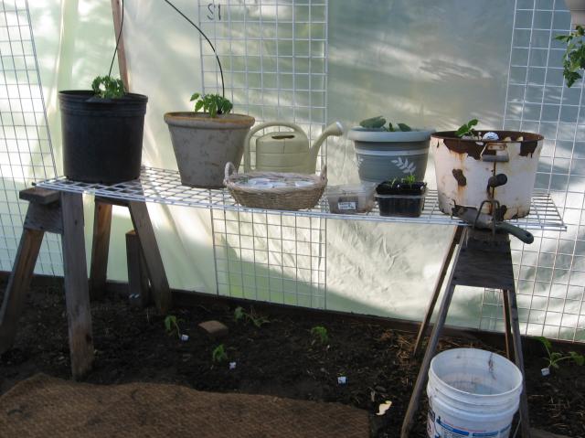 8229_greenhouse3.jpg