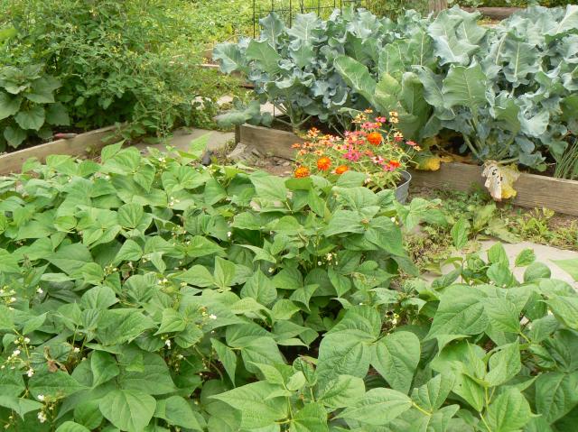 8387_p1000740.jpg