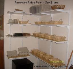 8465_store-shelves.jpg