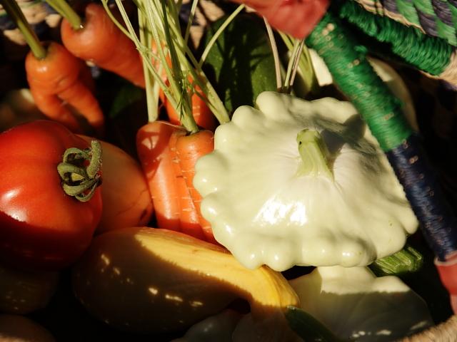 8572_veggies_20110816__024.jpg