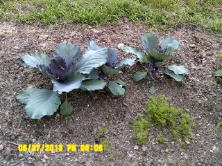 8721_dscf0038.jpg
