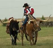 8721_riding_longhorn.jpg