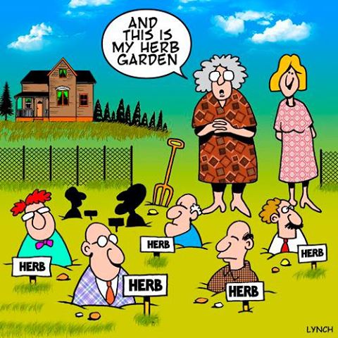 Garden humor thread.. | Page 3 | TheEasyGarden.com