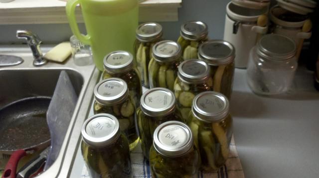 9126_pickels.jpg