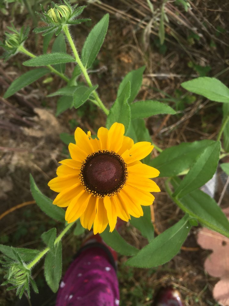 00D60630-49F4-4B3B-B811-452104A1B3F3.jpeg