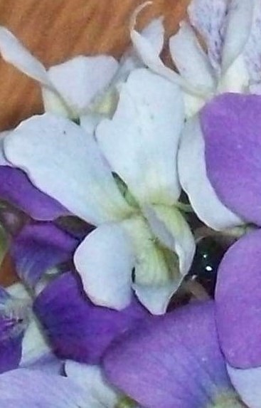 039 - Copy.JPG