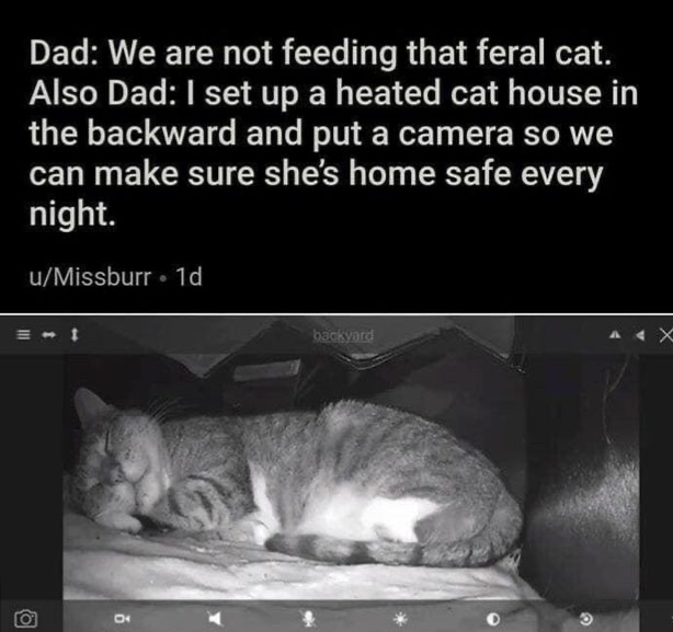 04F0D61A-39F3-4435-8DBB-8DEA7192C423.jpeg