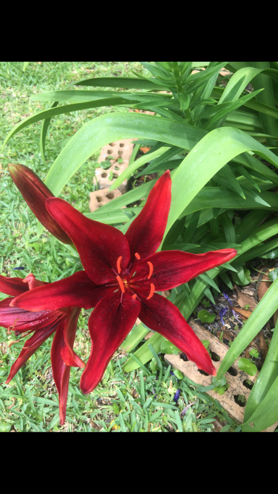 0634E08A-1575-4F39-93E7-D252AA74CFDF.png
