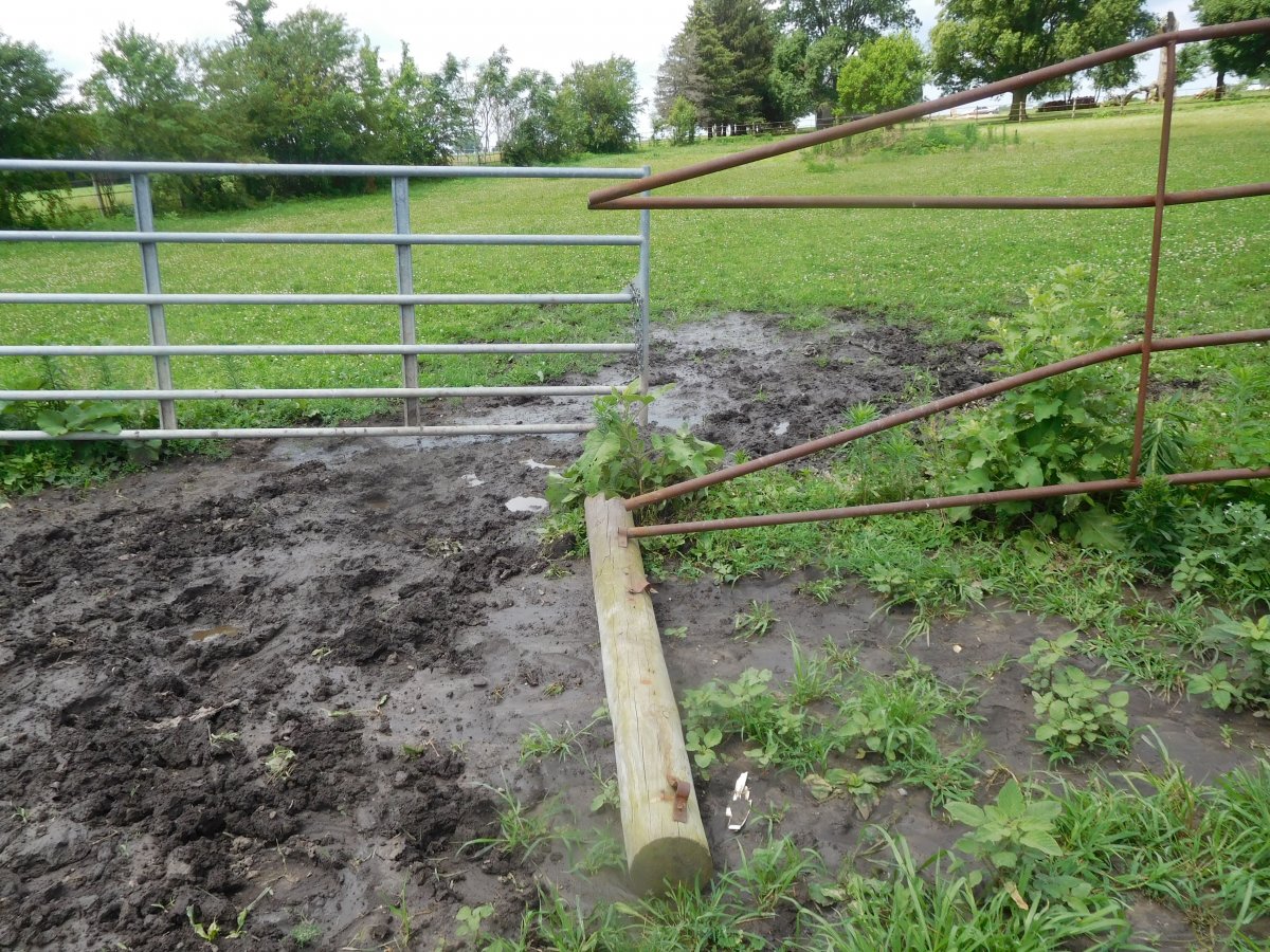 07-06-19, fence damage, #1.jpg