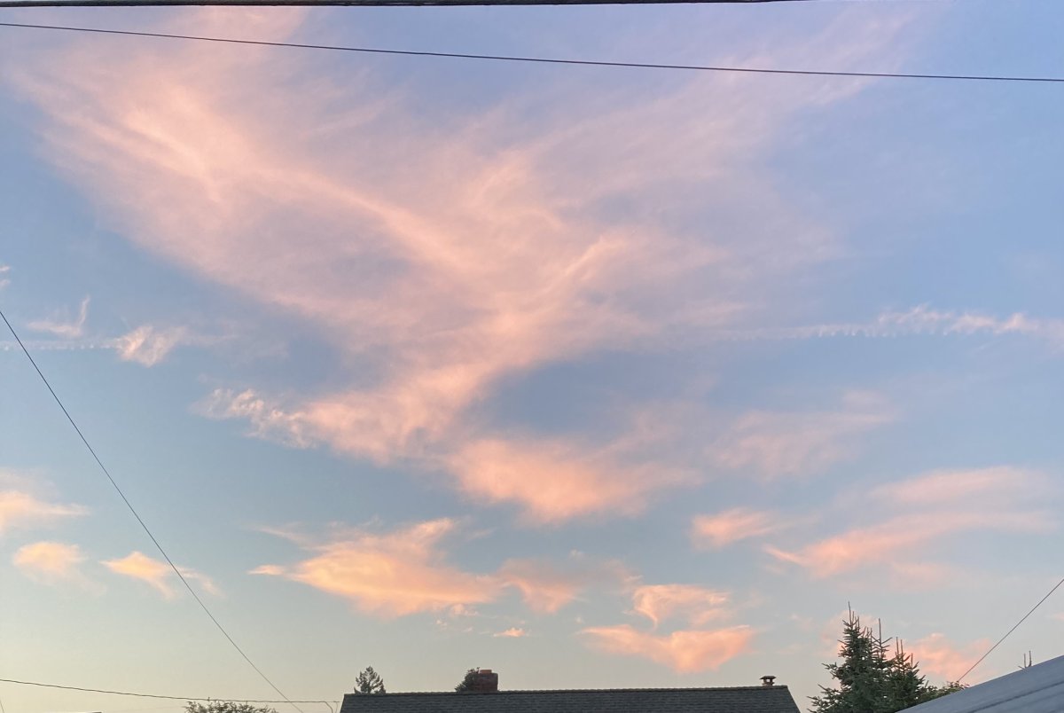 0CEBC80C-97F4-4EE4-9354-E4DB2E9CCFC7.jpeg