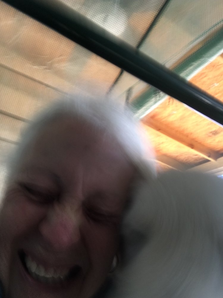 0E8C828D-48F1-4498-9E43-EFBB041456C1.jpeg