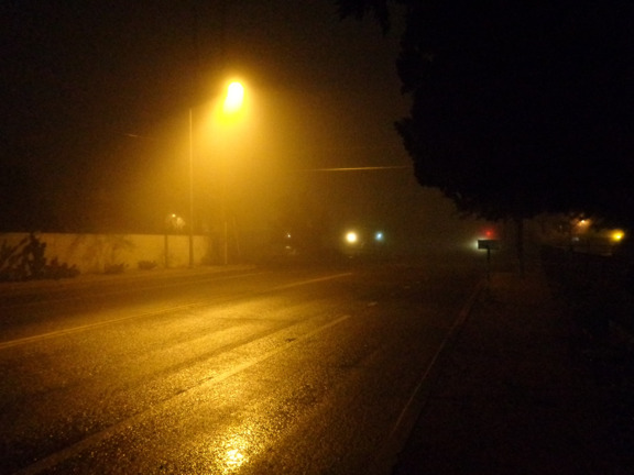 1 14 14 Fog 02 email.JPG