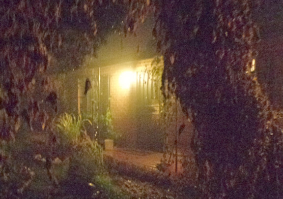 1 14 14 Fog 03 email.JPG